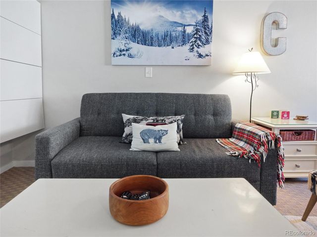 800 Copper Road 309, Frisco, CO 80443