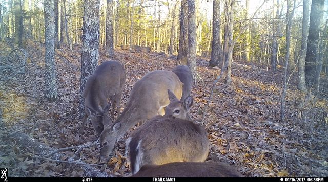 8008 County Road 5090, West Plains, MO 65775