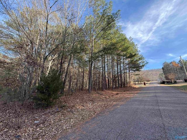 Lot 3 Sweetwater Lane, Rainbow City, AL 35906