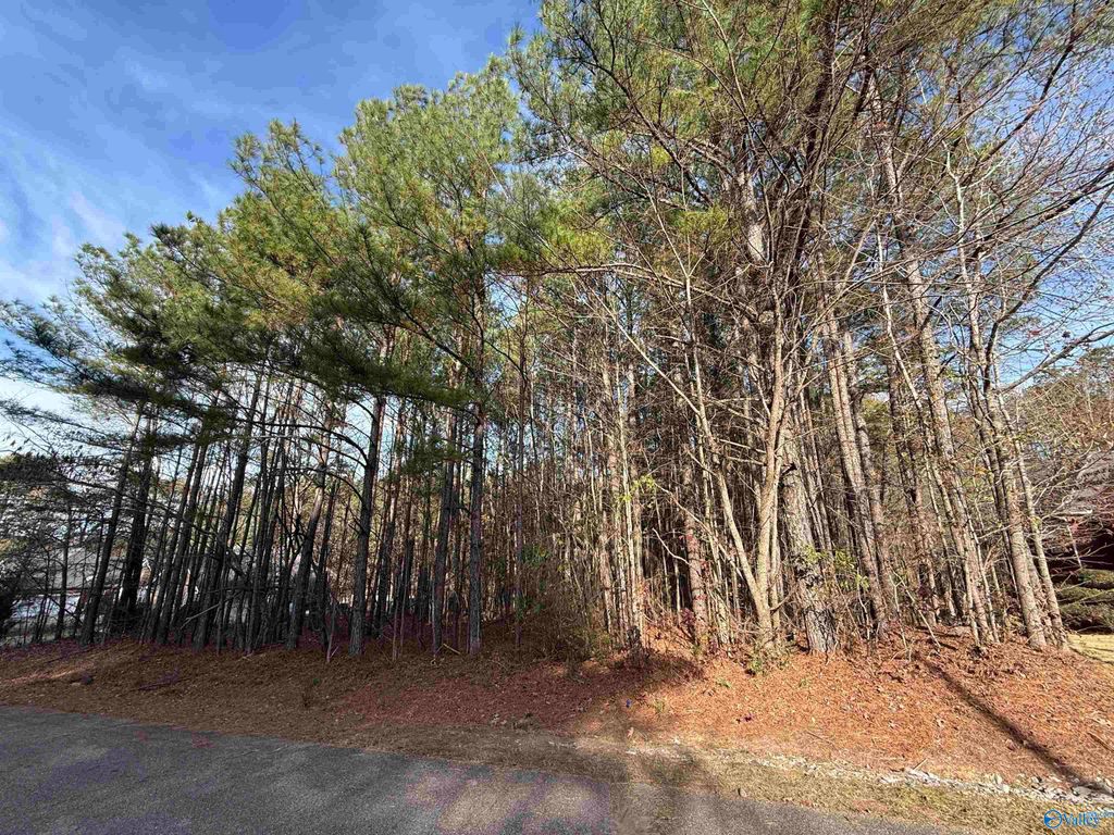 Lot 3 Sweetwater Lane, Rainbow City, AL 35906