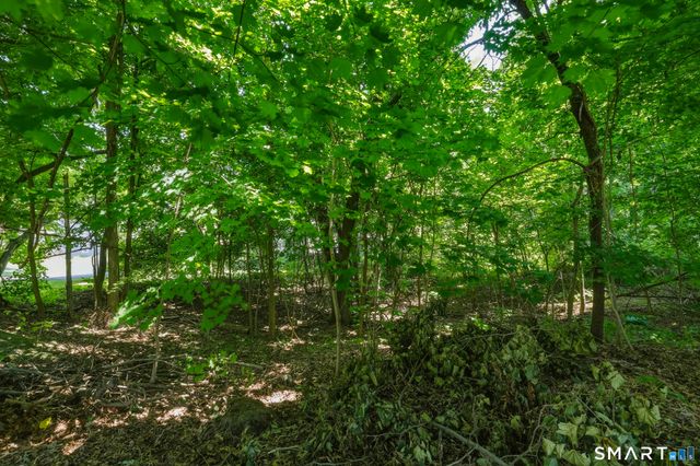 17-19 Gorman Place, Manchester, CT 06040