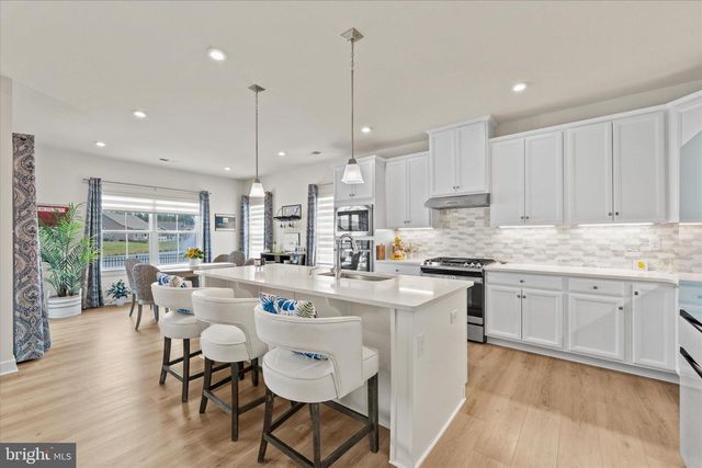 26127 TRIBUTARY BLVD, Millsboro, DE 19966