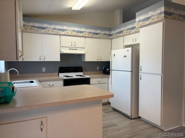 1707 W Beach Plum Drive, Citrus Springs, FL 34434