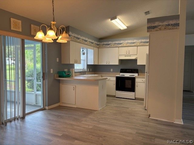 1707 W Beach Plum Drive, Citrus Springs, FL 34434