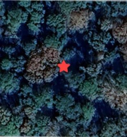 TBD N Fm 1486 Road, Montgomery, TX 77356