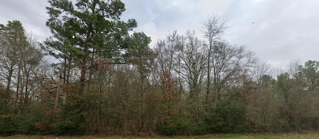 TBD N Fm 1486 Road, Montgomery, TX 77356