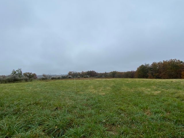 1312 S Diggins Main Street, Seymour, MO 65746