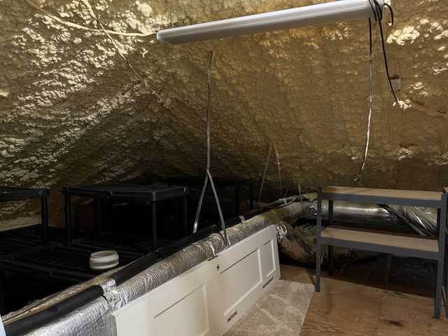 881 Dinwiddie Rd, Franklin, KY 42134