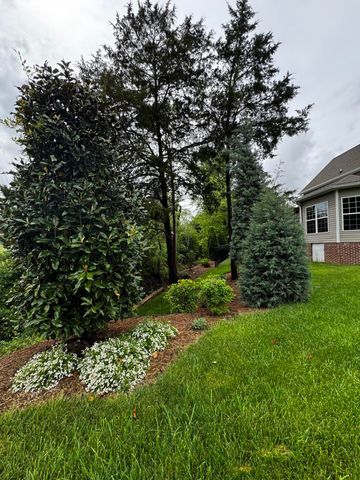 3874 Sweet Bay Lane, Apison, TN 37302