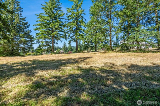 165 Saturn Ave, Woodland, WA 98674