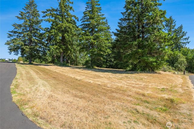 165 Saturn Ave, Woodland, WA 98674