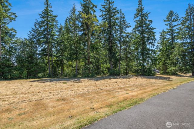 165 Saturn Ave, Woodland, WA 98674