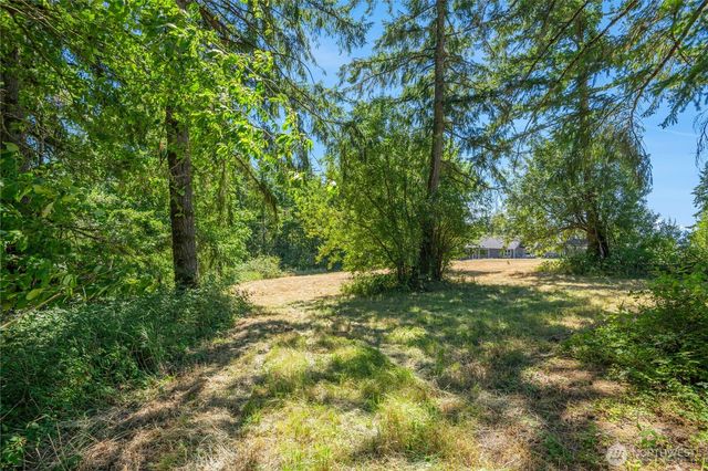 165 Saturn Ave, Woodland, WA 98674