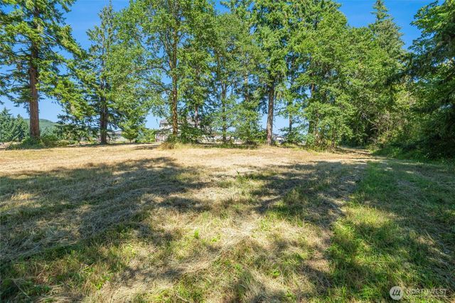 165 Saturn Ave, Woodland, WA 98674
