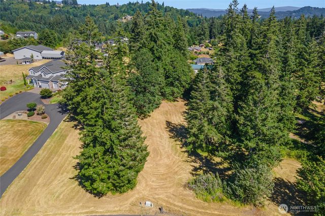 165 Saturn Ave, Woodland, WA 98674