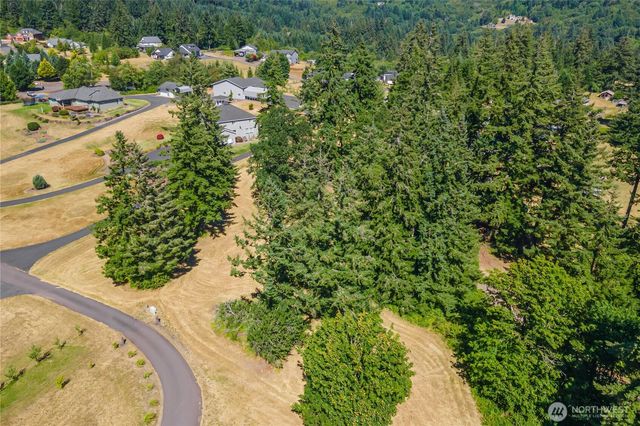 165 Saturn Ave, Woodland, WA 98674