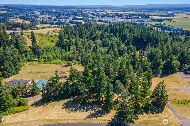 165 Saturn Ave, Woodland, WA 98674