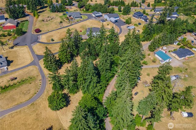 165 Saturn Ave, Woodland, WA 98674