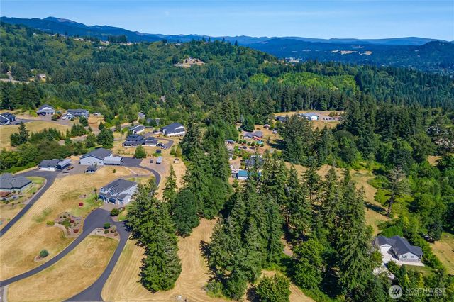 165 Saturn Ave, Woodland, WA 98674