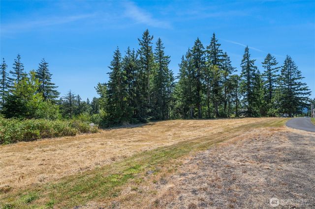 165 Saturn Ave, Woodland, WA 98674