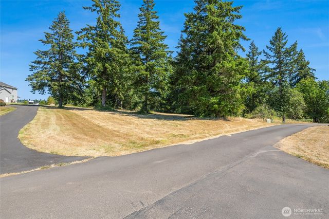 165 Saturn Ave, Woodland, WA 98674