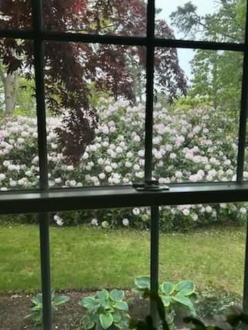 28 Lakeview Avenue, Chatham, MA 02633