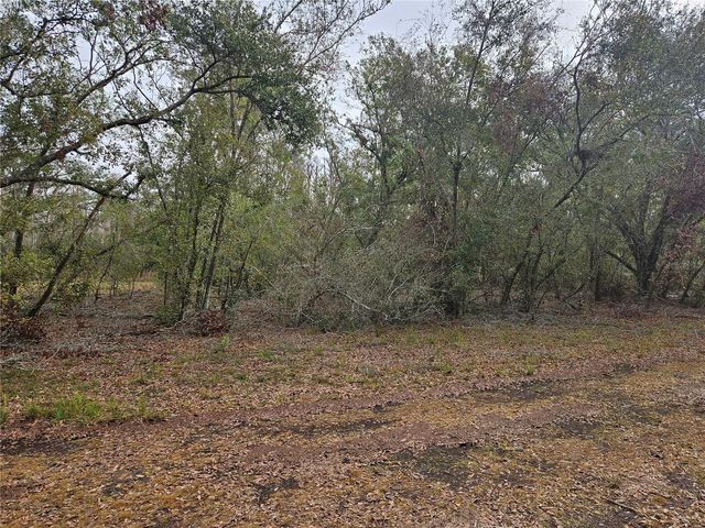 CANDIS RD, Plant City, FL 33565