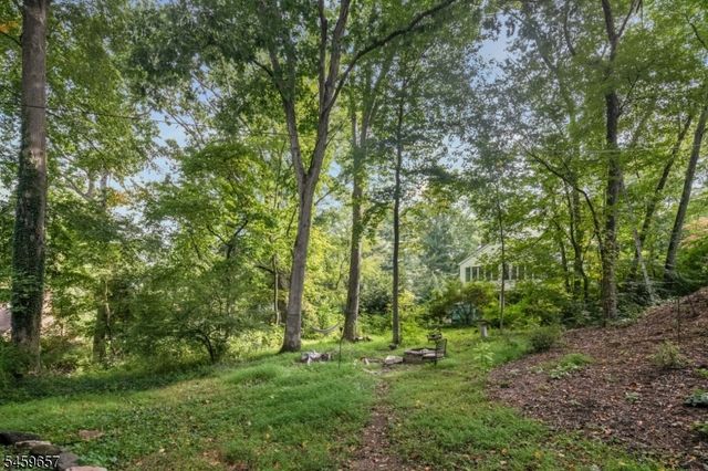 44 Chestnut Rd, Chatham Twp., NJ 07928