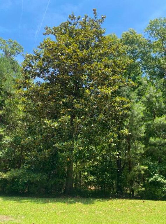 Image 12 of property listing at 25 Blackbear Road, Edisto Island, SC 29438