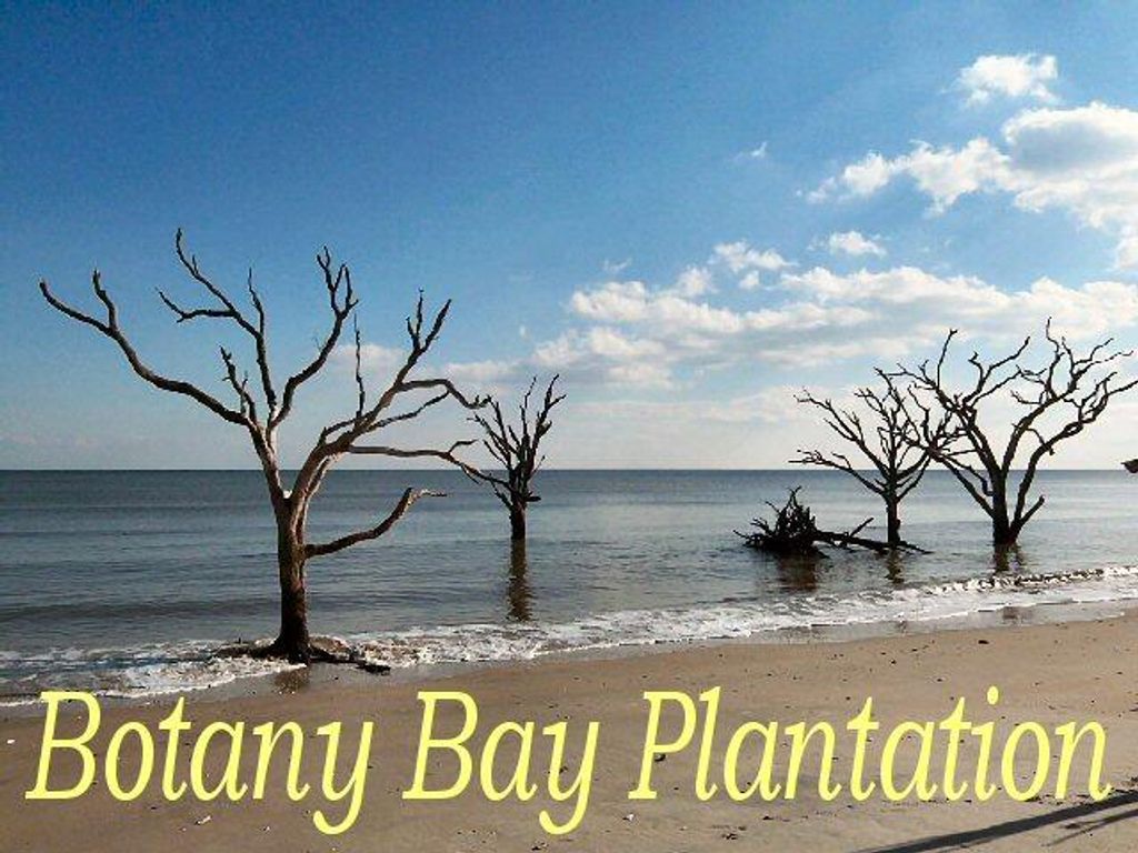 Image 17 of property listing at 25 Blackbear Road, Edisto Island, SC 29438