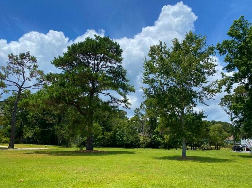 Image 2 of property listing at 25 Blackbear Road, Edisto Island, SC 29438