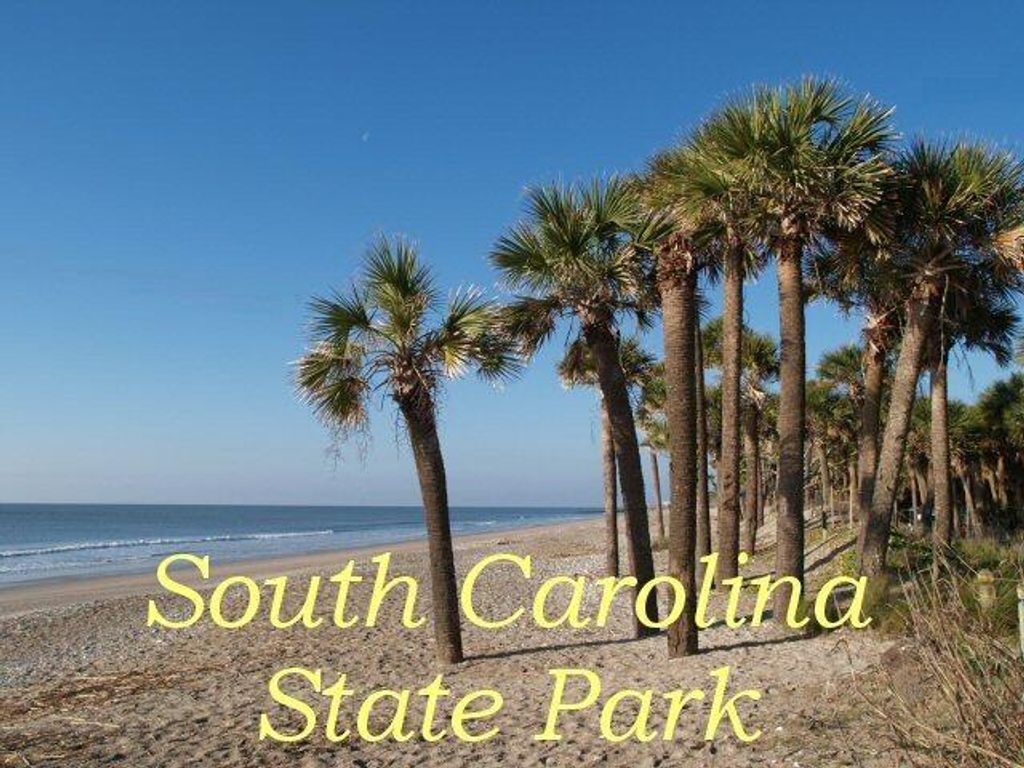 Image 29 of property listing at 25 Blackbear Road, Edisto Island, SC 29438