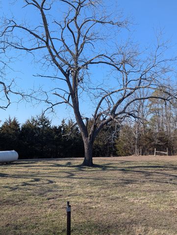 1760 Missouri 181, Cabool, MO 65689