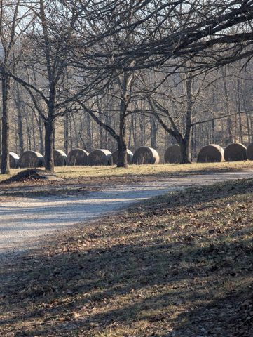 1760 Missouri 181, Cabool, MO 65689