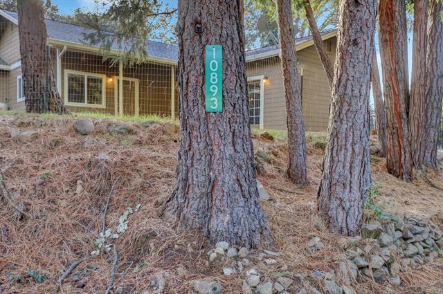 10893 Newtown Rd, Nevada City, CA 95959