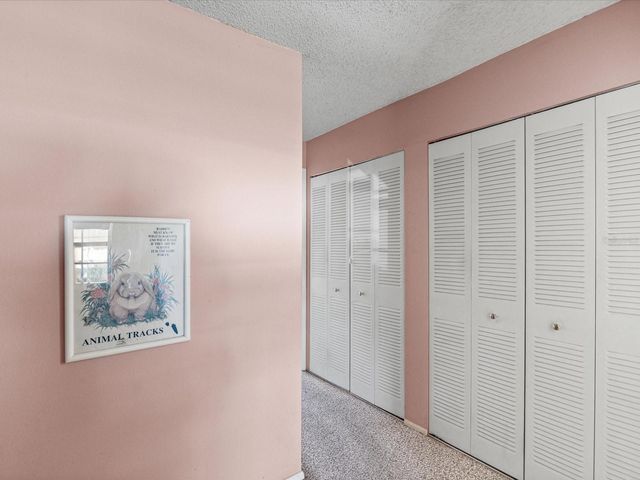 11423 WHEELING DRIVE, Tampa, FL 33625