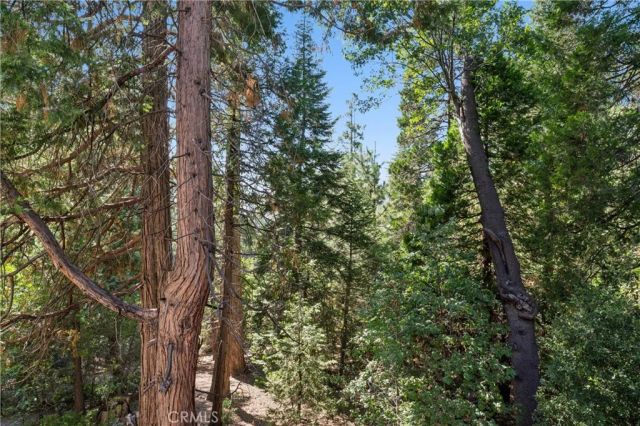296 Grass Valley, Lake Arrowhead, CA 92352
