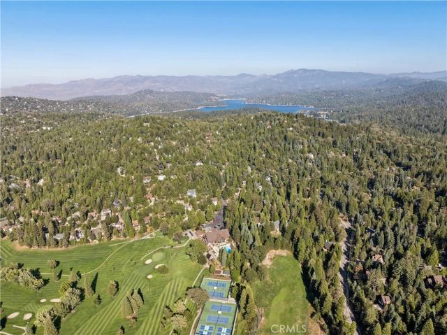 296 Grass Valley, Lake Arrowhead, CA 92352