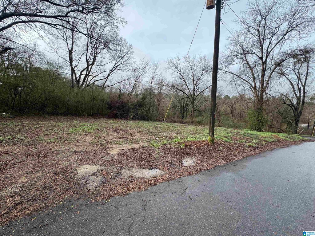 7813 CHURCHILL DRIVE, Leeds, AL 35094