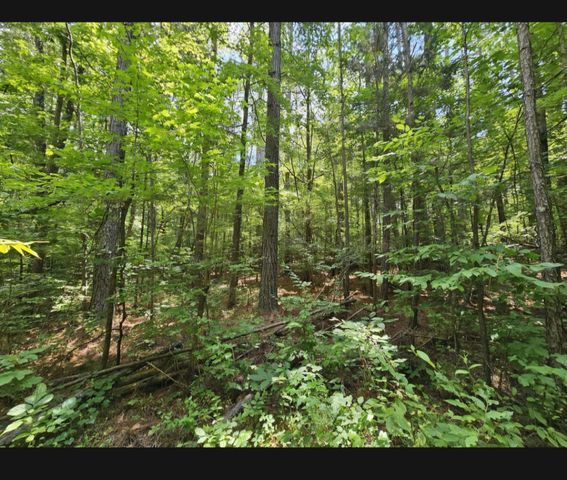 510 Lost Creek Farm, Decaturville, TN 38329