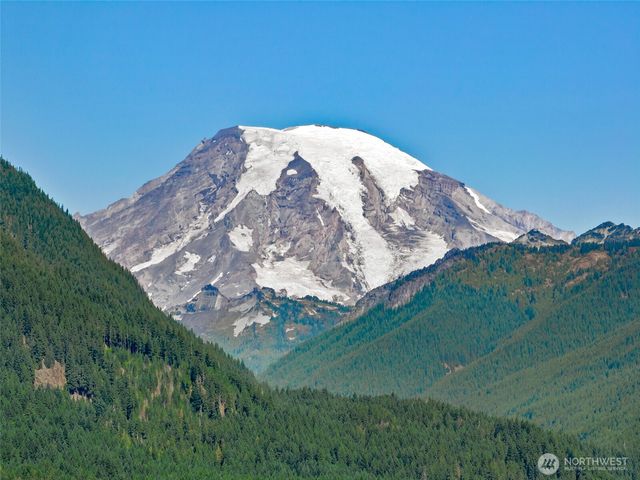 132 Hellem Drive, Packwood, WA 98361