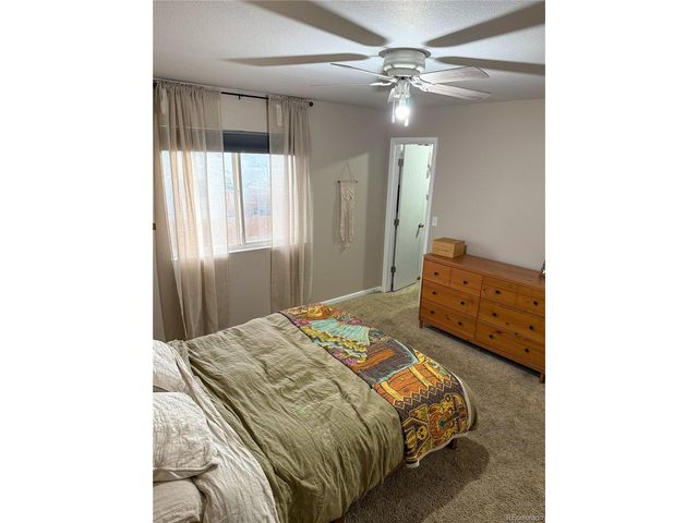 3913 Lincoln Ct, Wellington, CO 80549