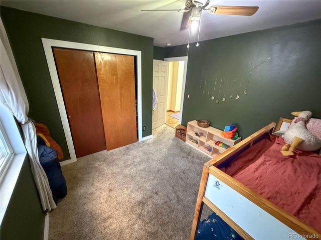 3913 Lincoln Ct, Wellington, CO 80549