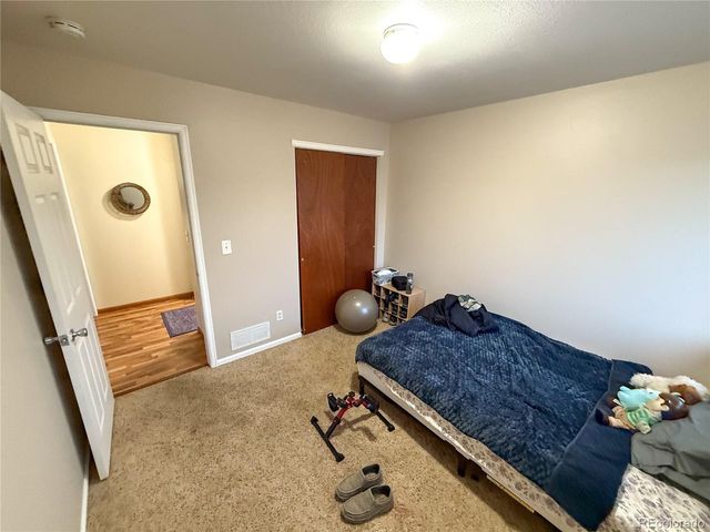 3913 Lincoln Ct, Wellington, CO 80549