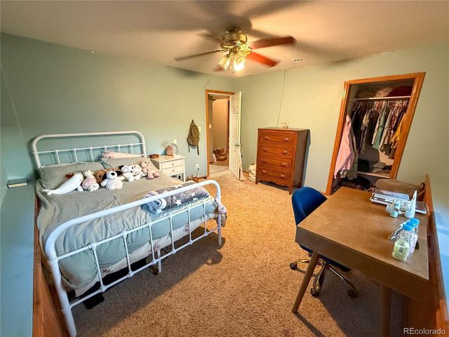 3913 Lincoln Ct, Wellington, CO 80549