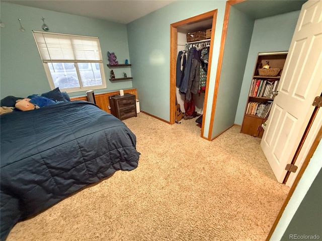 3913 Lincoln Ct, Wellington, CO 80549