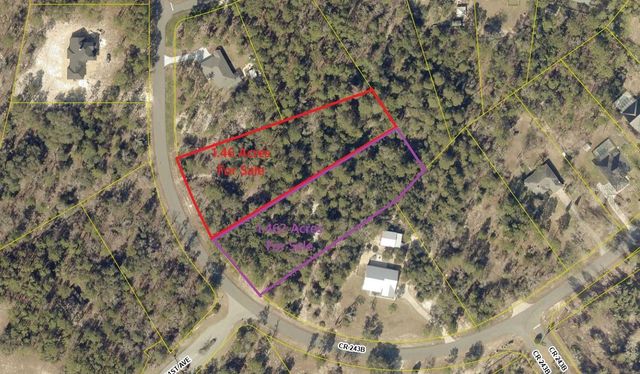 2352 COUNTY ROAD 243B, Wildwood, FL 34785
