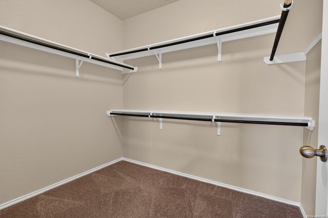 515 Sage Thrasher, San Antonio, TX 78253