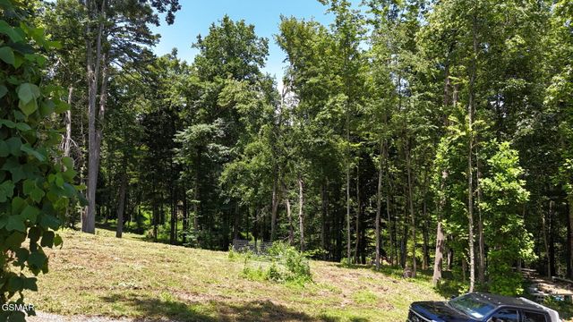 11 Cherokee Drive, Dandridge, TN 37725