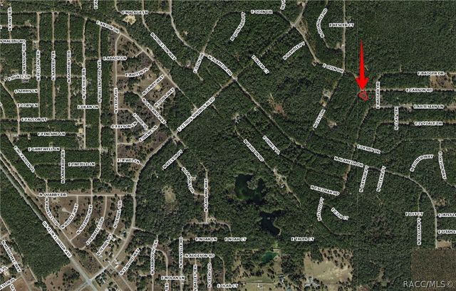 1512 E Carson Road, Dunnellon, FL 34434